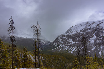 Landschaft in der British Columbia