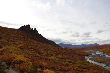 Landschaft in Alaska Denali Nationalpark