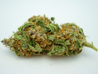 cannabis bud, close up, macro shot, marijuana, weed