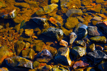 stones in the water on the shore
