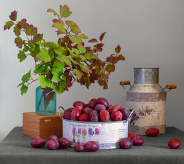 Still life with ripe plums and branches with beautiful leaves.