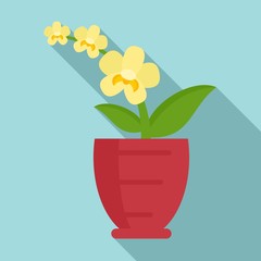 Yellow orchid icon. Flat illustration of yellow orchid vector icon for web design