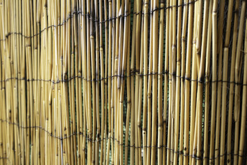 Bamboo wall