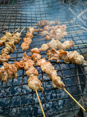 shish kebab on skewers on grill