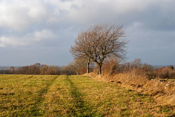 Obraz premium Autumn in Sweden