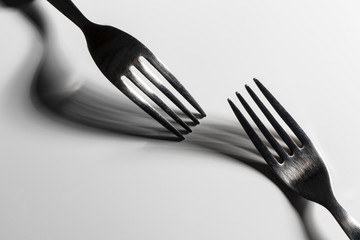 The fork shadows