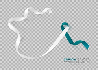 Cervical Cancer Awareness Month. Teal And White Ribbon Isolated On Transparent Background. Vector Design Template For Poster. Illustration.