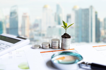 The tree  growing on money coin stack for investment,  business newspaper with financial report on...