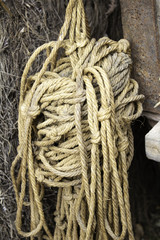 Knotted rope