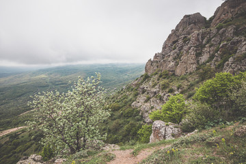 View from the mountain Demerdzhi to a field covered with clouds.