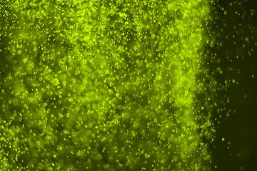 lime huge amount flying colorful glitter bokeh texture - fantastic abstract photo background