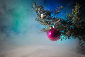 Christmas Decoration - bauble on branch of pine tree with holiday attributes on snow. Selective focus