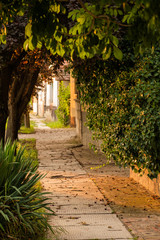 alley in the park