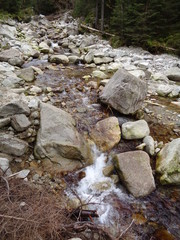 Tatrzański Park Narodowy - szlak Psia Trawka