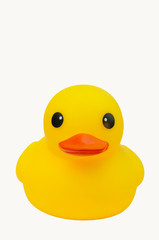 yellow rubber duck on white background.