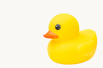 yellow rubber duck on white background.