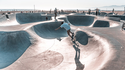 Venice Beach Skate Park Skateboarder