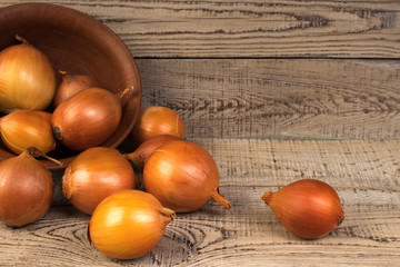 onion in a plate on wooden background. country style.