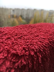 red carpet of flowers