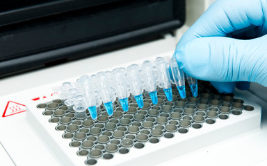 A researcher put a strip of 8 PCR tubes on the thermal cycler for DNA amplification