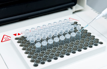 Ressearcher mix DNA, polymerase and oligonucleotides in PCR tubes on the thermal cycler