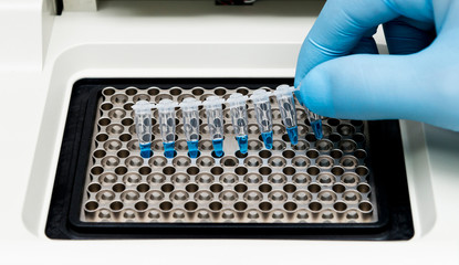A researcher put a strip of 8 PCR tubes on the thermal cycler for DNA amplification