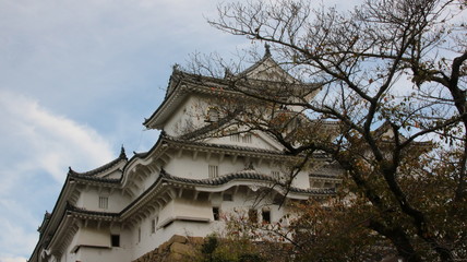 Fototapeta premium 姫路城