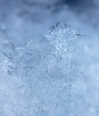 winter photo of snowflakes in the snow