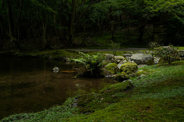京都　新緑の醍醐寺と夏の景色