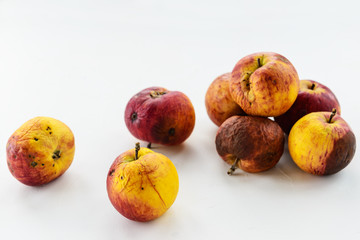 Ugly rotten apples on a white background.