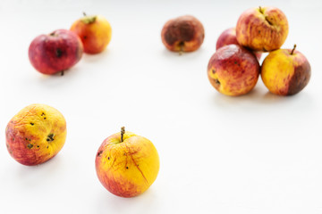 Ugly rotten apples on a white background.
