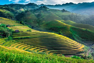 Photo sur Plexiglas Mu Cang Chai Landscape view of rice fields in Mu Cang Chai District, VIetnam