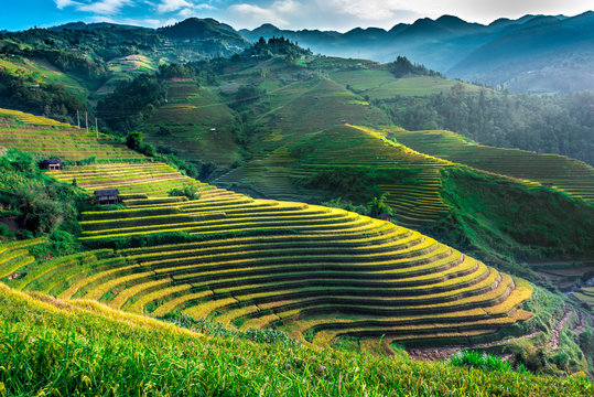 Landscape view of rice fields in Mu Cang Chai District, VIetnam