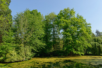 Obraz premium im Schloßpark Paffendorf bei Bergheim