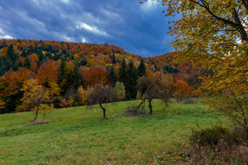 Autumn landscape in Mountains and blue sky