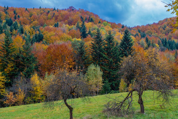 Autumn colors in the mountains in Poland