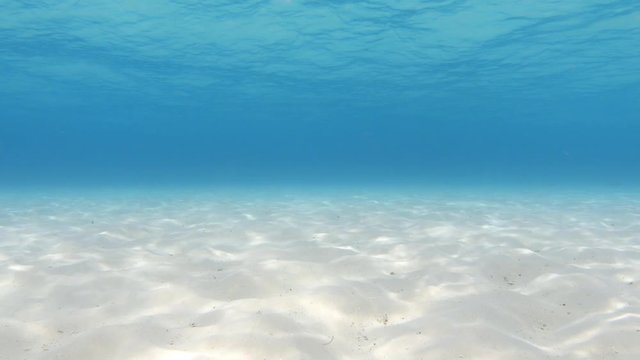 Sunlight caustic on the sand ocean floor. Underwater scene. 4K video