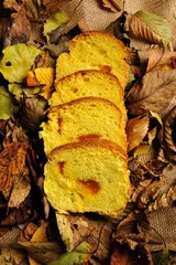 sweet panettone cake traditional pastry of Italian cuisine with chocolate and jam and pumpkin flour