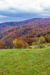 Mountains covered with forest in the autumn season