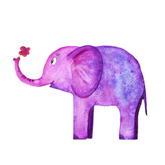 cute elephant with a flower purple pink watercolor
