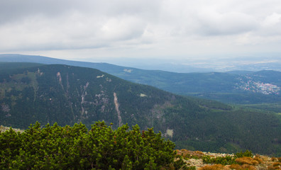 Karkonosze - Polish mountains. Mountains, trails and vegetation in the summer.
