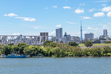 千葉県側から江戸川越しに見た東京