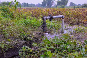 clear sweet and health water overflowing from the tube well on rainy days, background of dried...