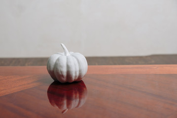 one white pumpkin on a light background