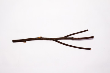 a one clipped twig