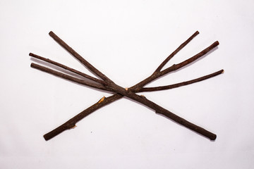 Fototapeta na wymiar a two clipped twig