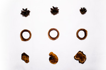 composition of cones and wood cuts