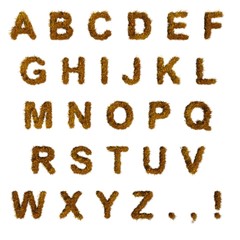 Autumn Grass Alphabet. English letters. Font.