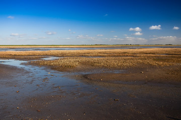 Wadden Sea National Park, near MandÃ¶ island, Jutland, North Sea, Denmark, Europe