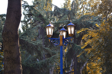 old street lamp in the park